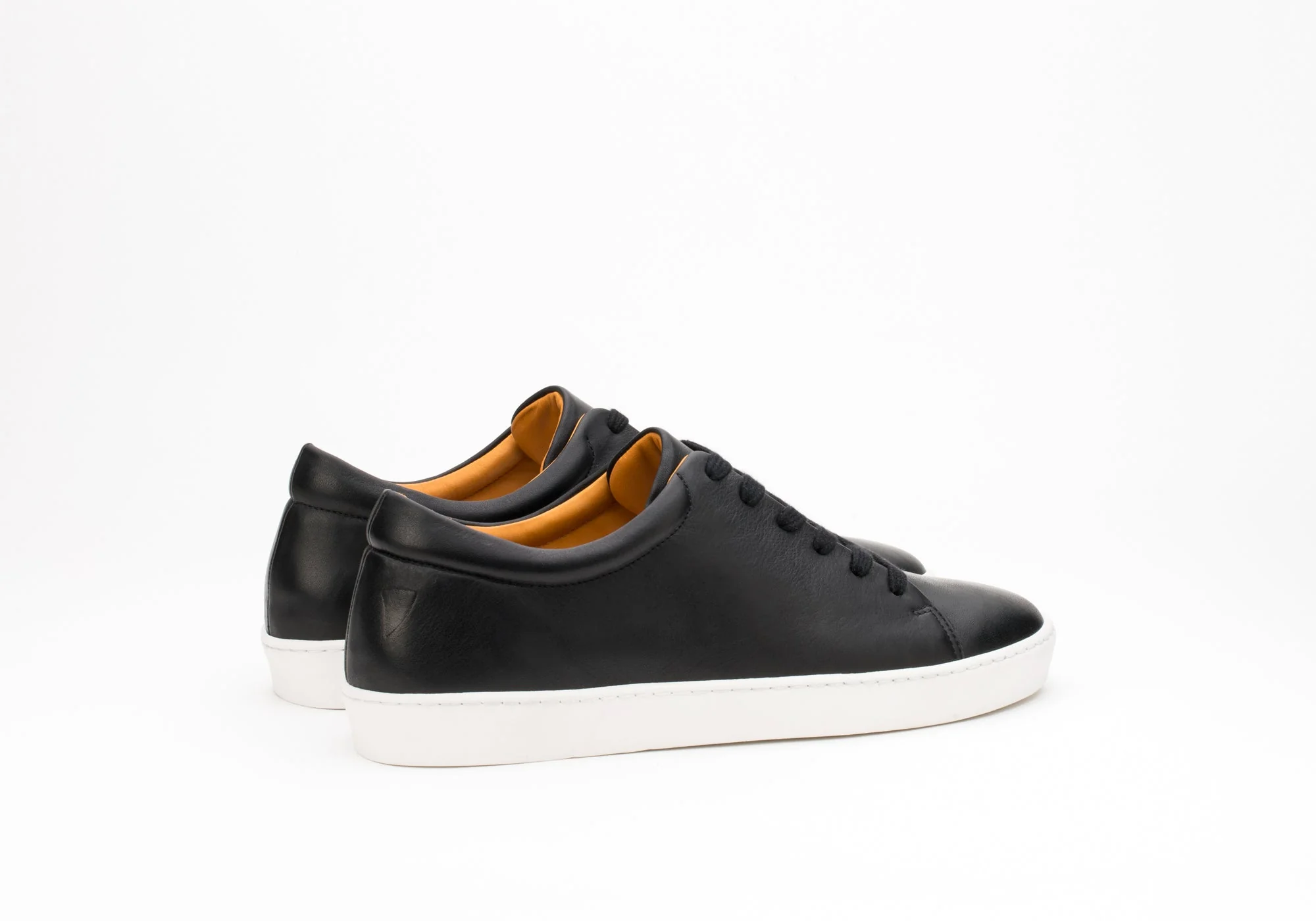 Royal Black V.S. - Image 6