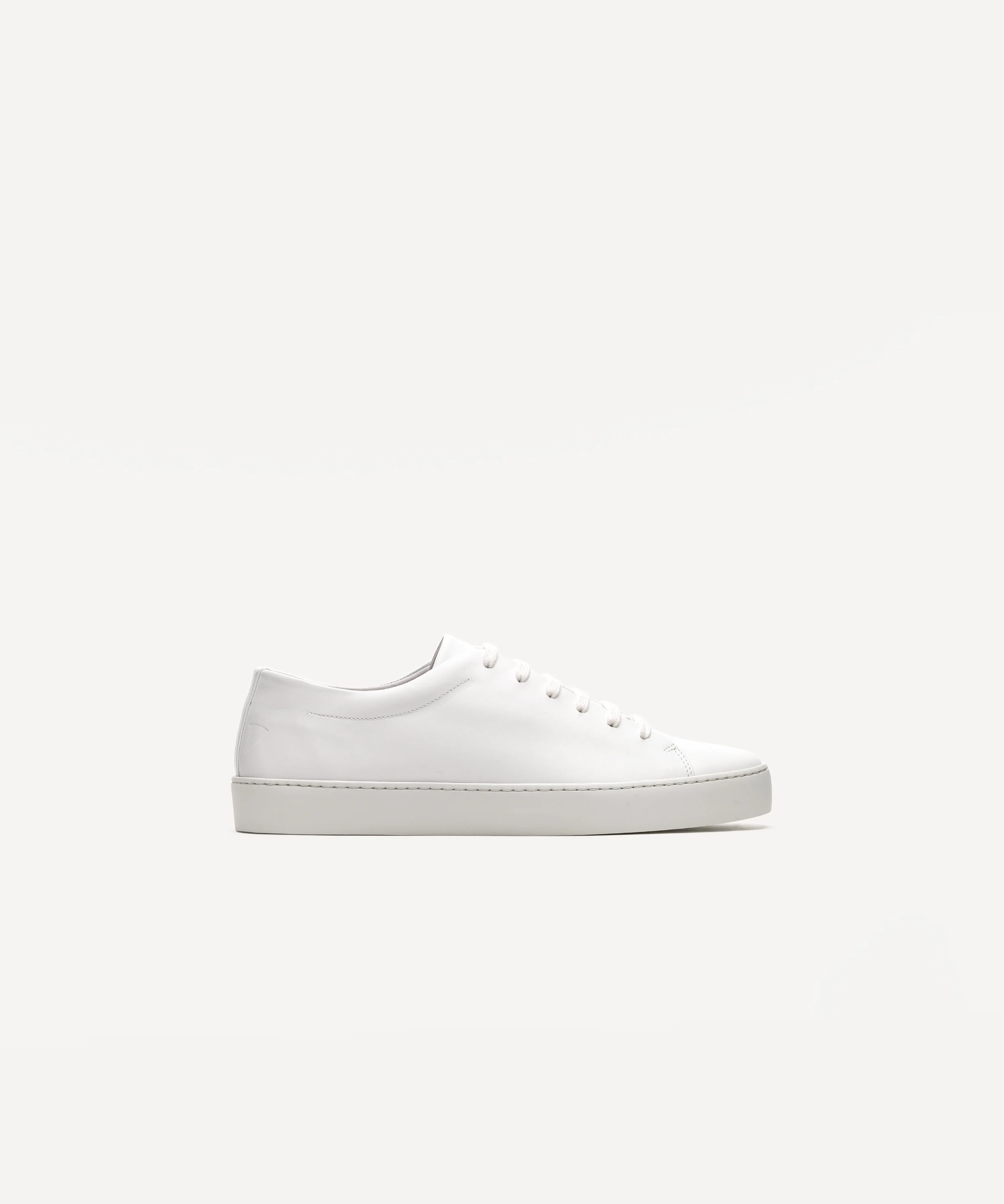 Royal White - Image 3
