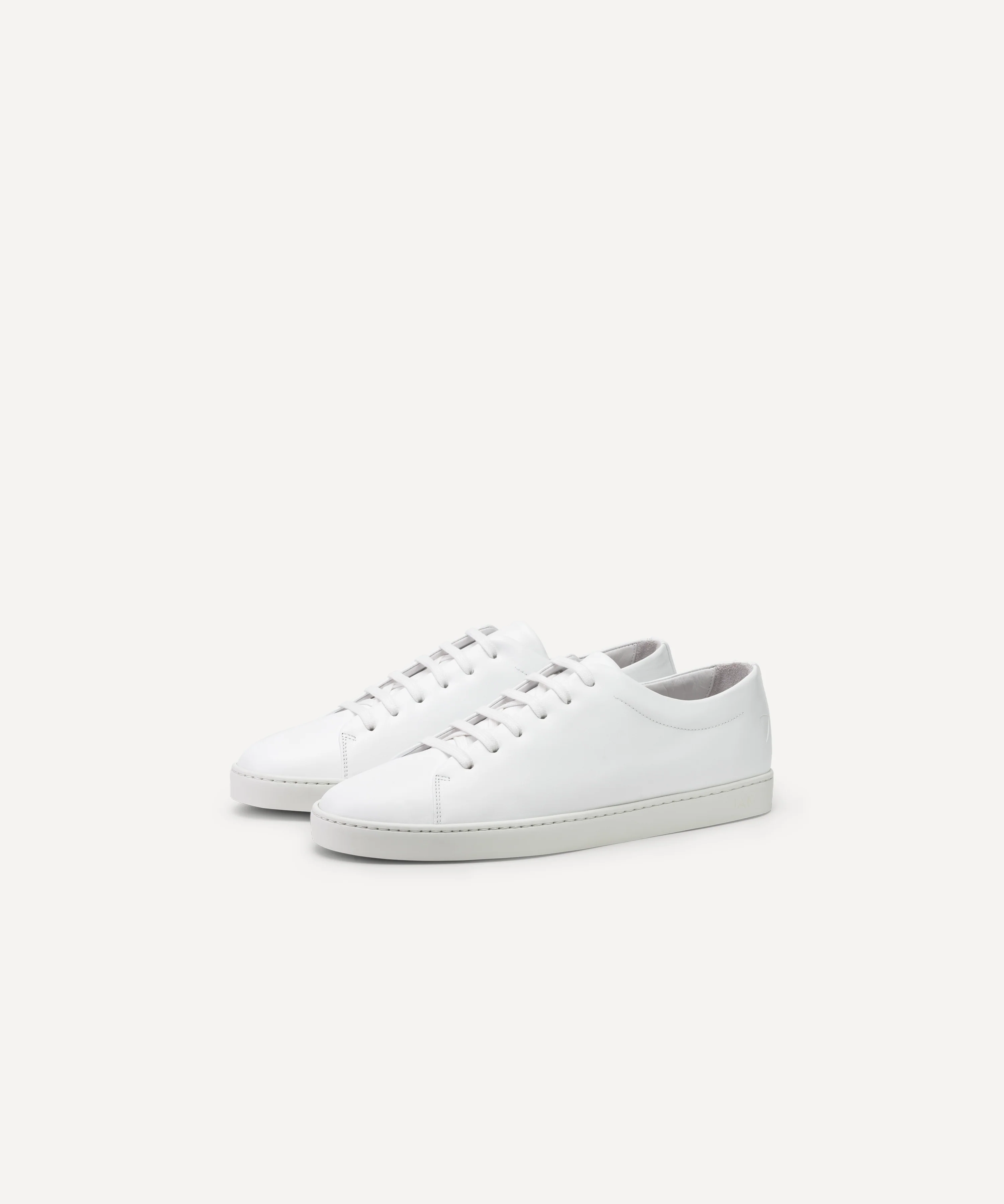 Royal Lite White - Image 4